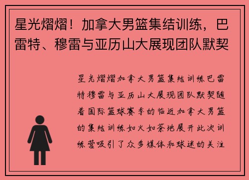 星光熠熠！加拿大男篮集结训练，巴雷特、穆雷与亚历山大展现团队默契