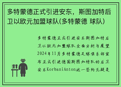 多特蒙德正式引进安东，斯图加特后卫以欧元加盟球队(多特蒙德 球队)