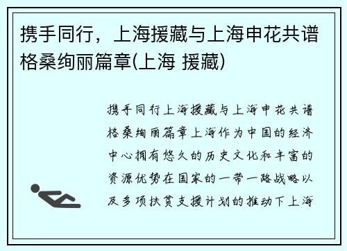 携手同行，上海援藏与上海申花共谱格桑绚丽篇章(上海 援藏)