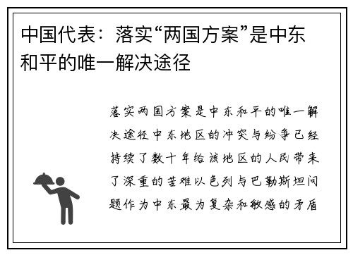中国代表：落实“两国方案”是中东和平的唯一解决途径