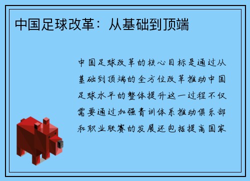 中国足球改革：从基础到顶端